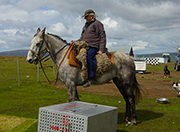 Tony Pole-Evans 1919-2010